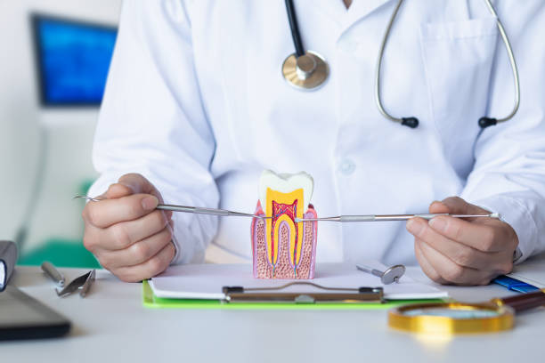 Best Weekend Emergency Dentist in Culver City, CA